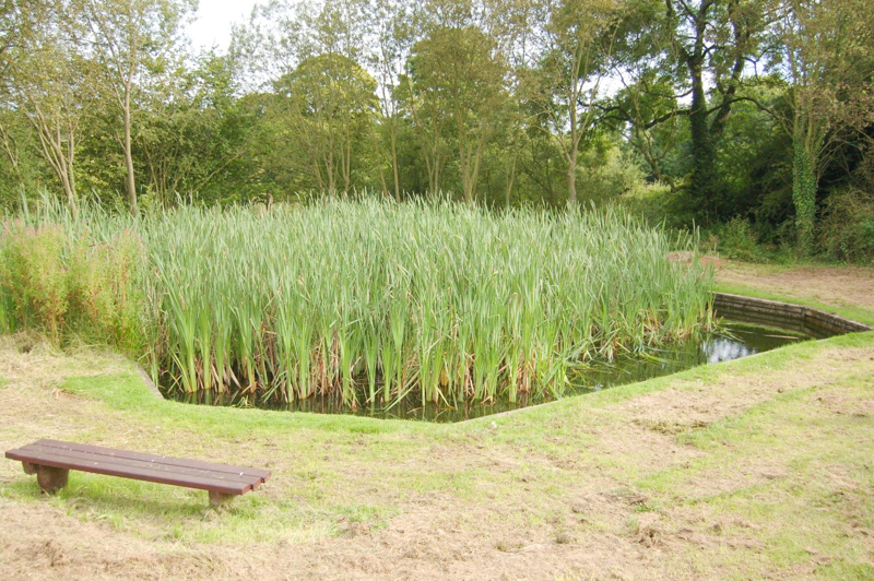 Photo of Winster pond